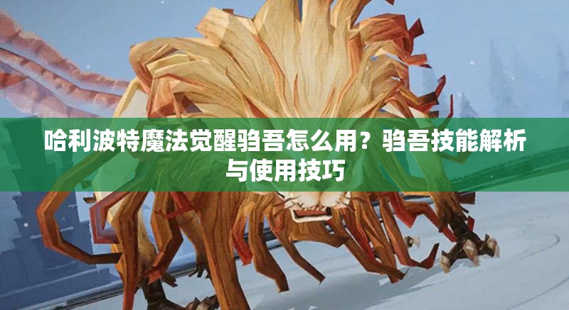 哈利波特魔法觉醒驺吾怎么用？驺吾技能解析与使用技巧