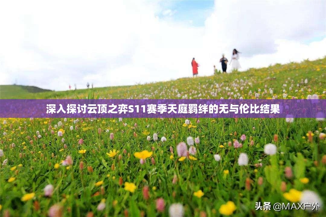 深入探讨云顶之弈S11赛季天庭羁绊的无与伦比结果