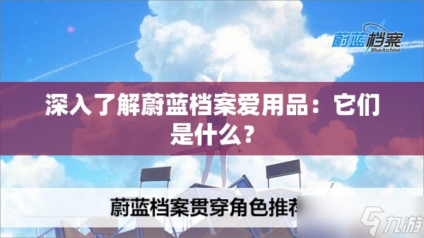 深入了解蔚蓝档案爱用品：它们是什么？