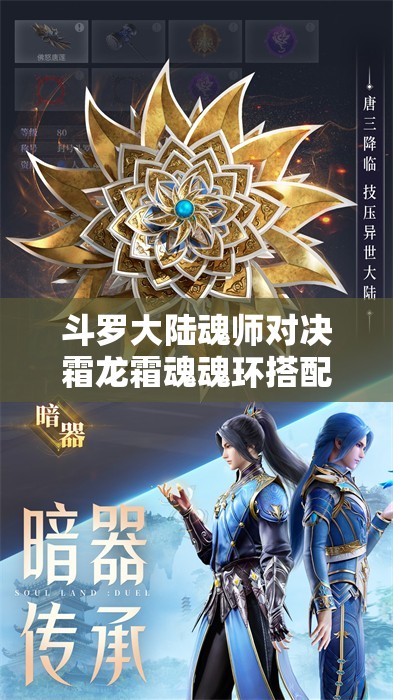 斗罗大陆魂师对决霜龙霜魂魂环搭配完全指南