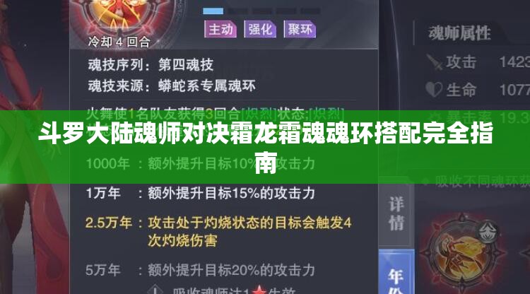 斗罗大陆魂师对决霜龙霜魂魂环搭配完全指南